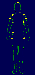 Image of body outline in standing position (front view) showing a few landmarks